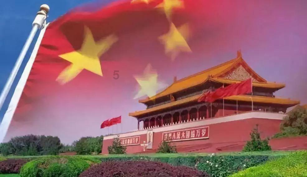 小乌龟逃亡记